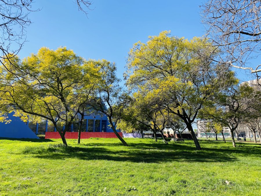 Discovery Meadow — photo 4 of 4