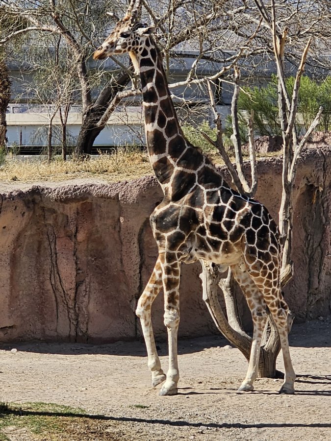 El Paso Zoo — photo 2 of 4