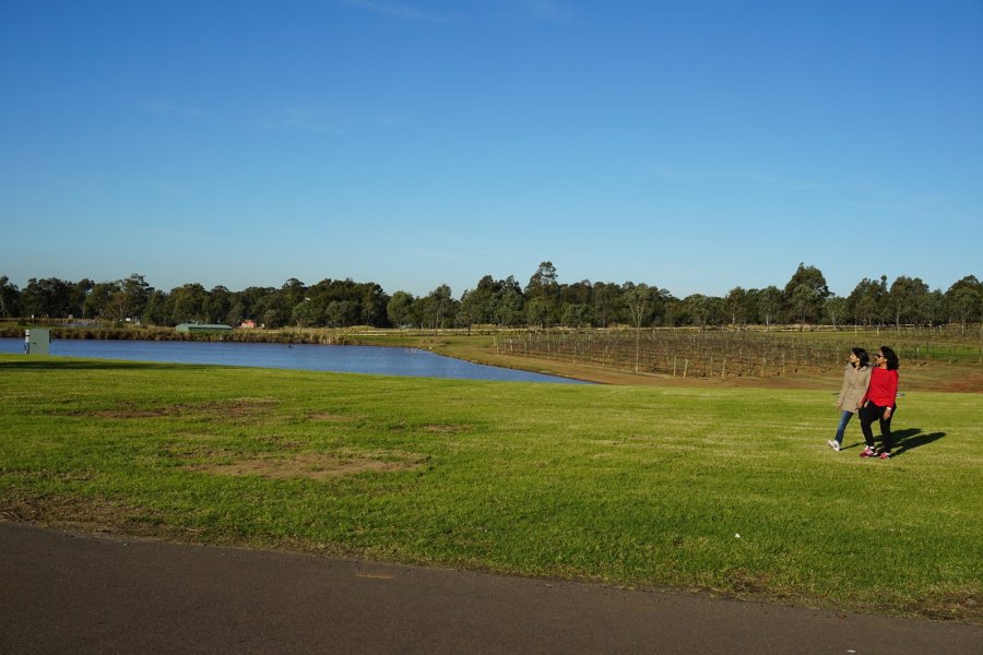 Roche Estate — photo 2 of 4