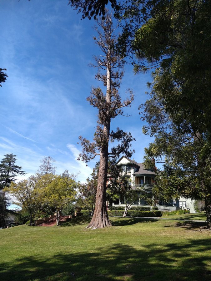 Marin Veterans Memorial Auditorium — photo 4 of 4
