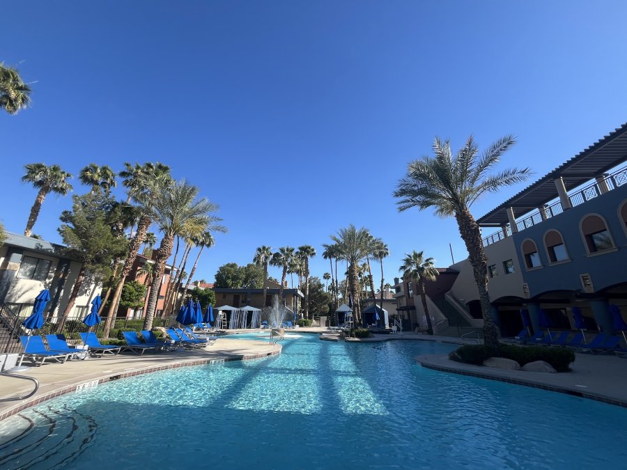 The Siren Poolside At Alexis Park — photo 3 of 4