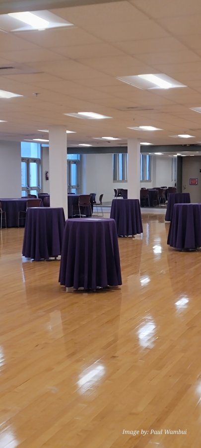 Langston Hughes Performing Arts Institute — photo 4 of 4