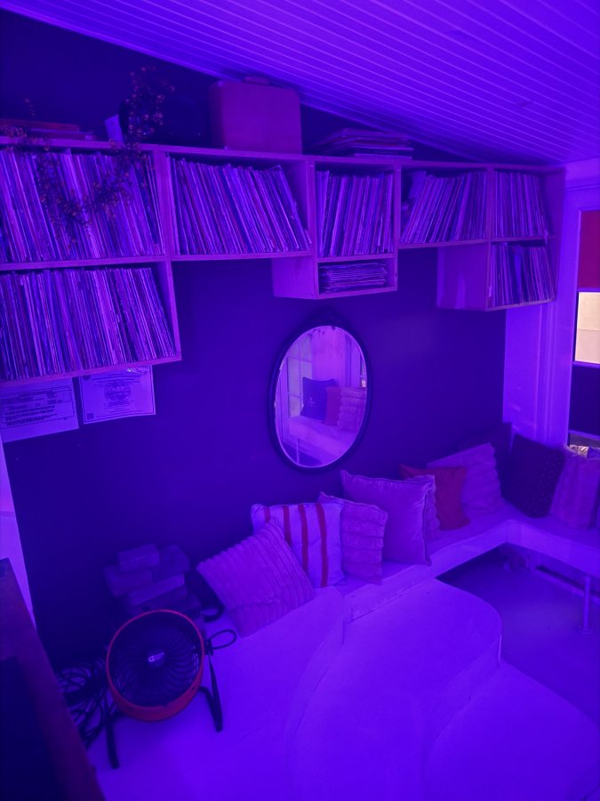 ZeyZey Miami — photo 3 of 4