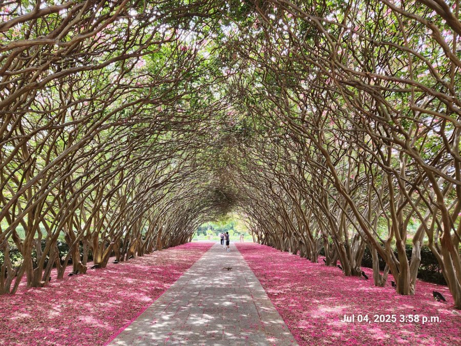 Dallas Arboretum