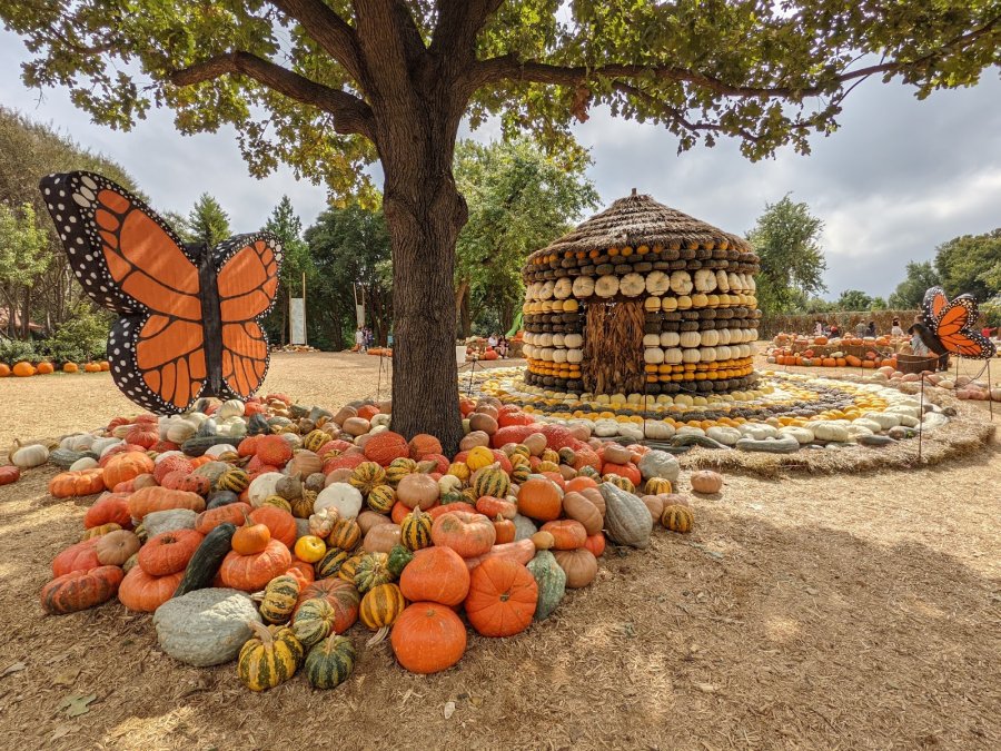 Dallas Arboretum — photo 2 of 4