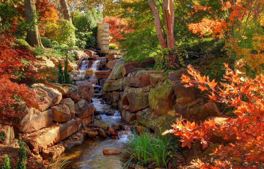 Dallas Arboretum — photo 4 of 4