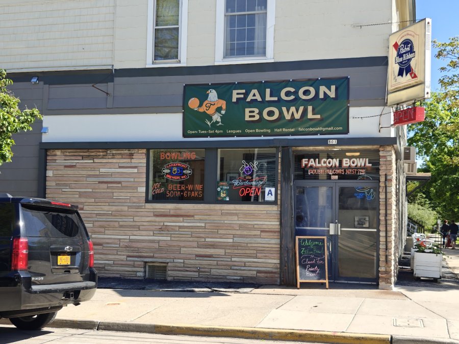 Falcon Bowl — photo 4 of 4
