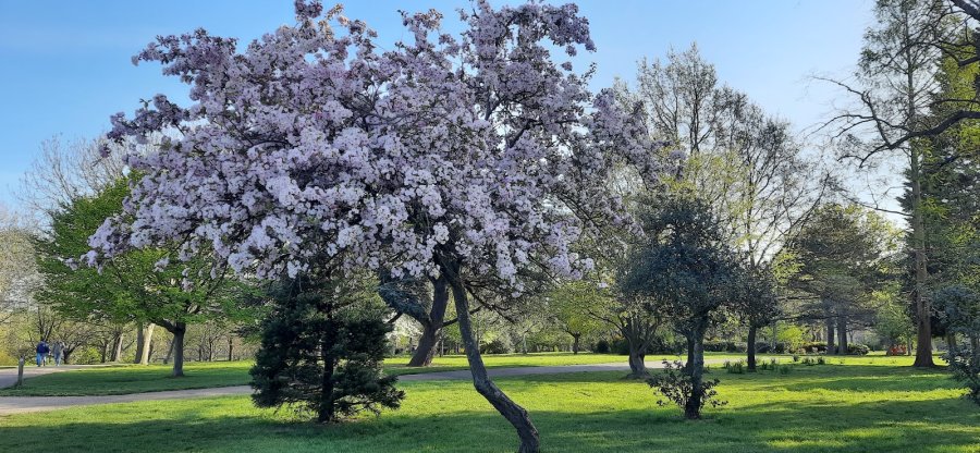 Finsbury Park