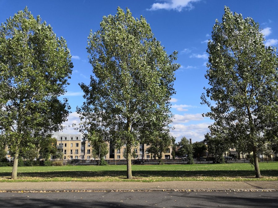 Finsbury Park — photo 2 of 4