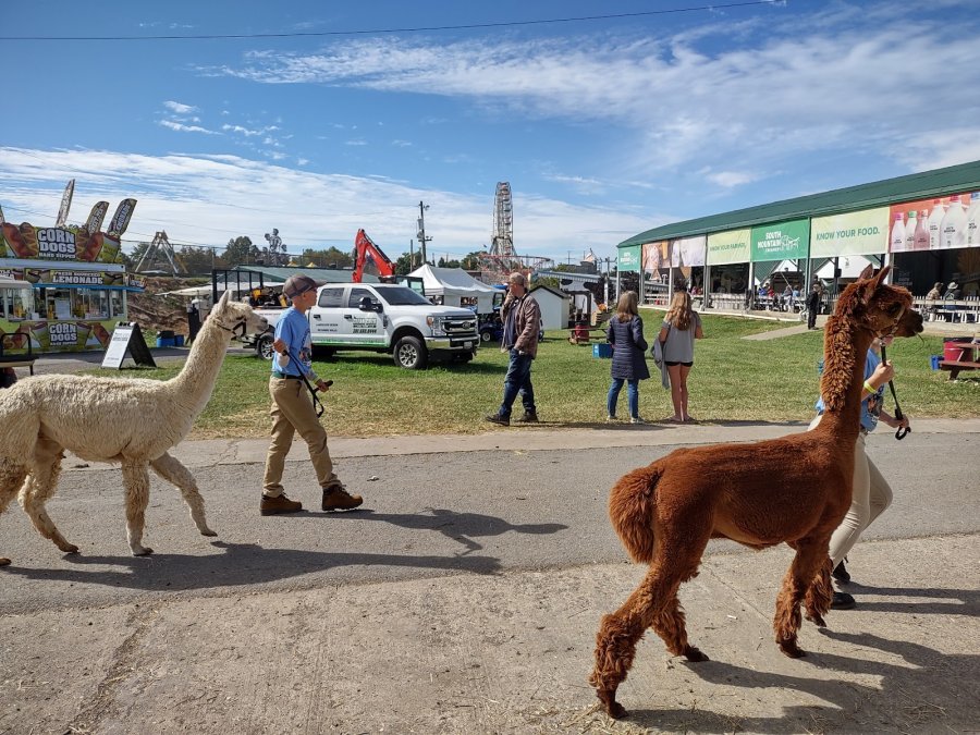 The Grandstand At The Great Frederick Fair — photo 3 of 4