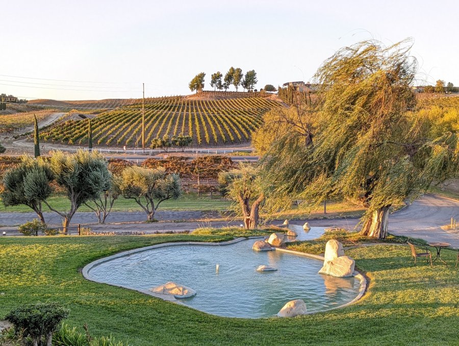 Thornton Winery — photo 4 of 4