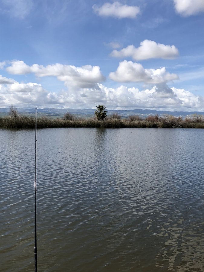 Buena Vista Aquatic Recreational Area — photo 3 of 4