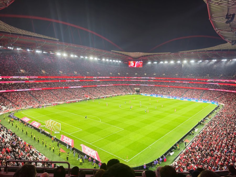 Estadio Da Luz — photo 2 of 4