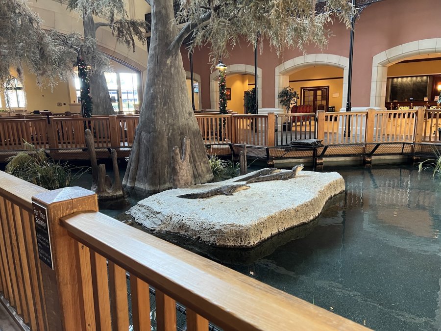Paragon Casino Resort — photo 2 of 4