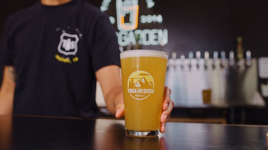 Tioga Sequoia Brewery