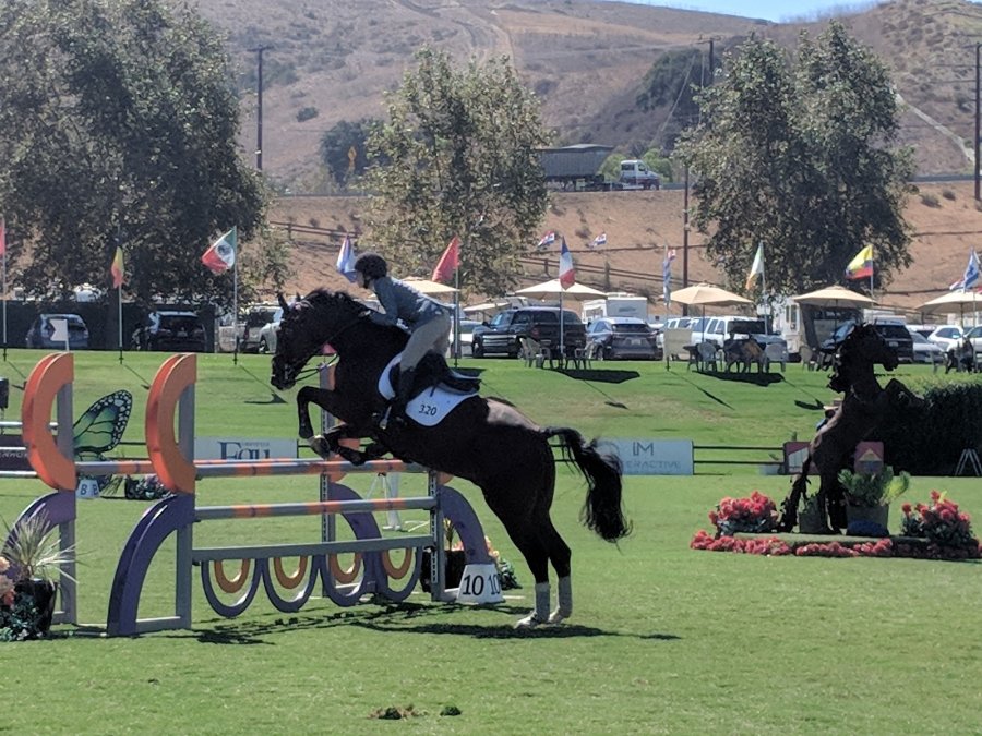 Rancho Mission Viejo Riding Park — photo 4 of 4