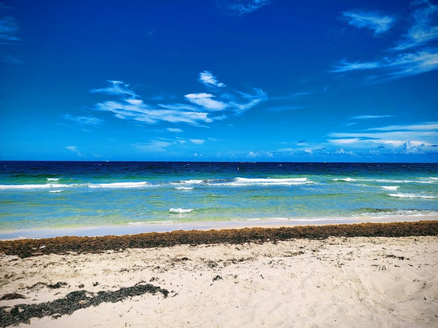 Fort Lauderdale Beach Park — photo 4 of 4