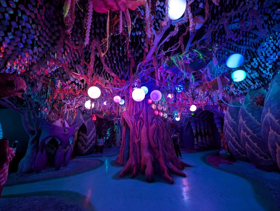 Otherworld — photo 2 of 4