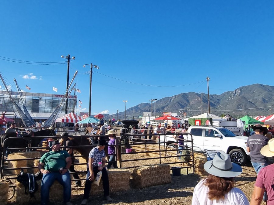 San Bernardino Sheriff's Rodeo Grounds — photo 3 of 4