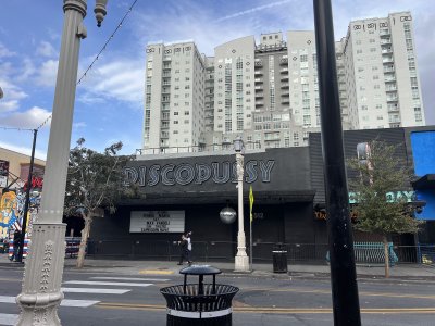 Discopussy — photo 3 of 4