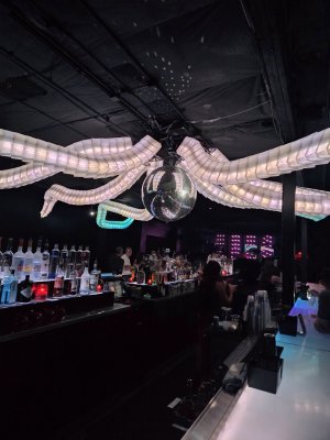 Discopussy — photo 4 of 4