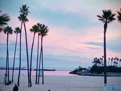 Marina Green Park — photo 1 of 4