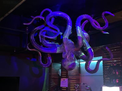 Deep End Live — photo 3 of 4