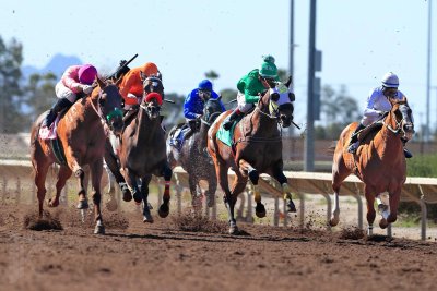 Rillito Park Race Track — photo 3 of 4