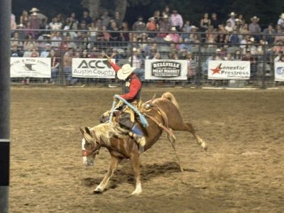 Austin County Fair — photo 3 of 4