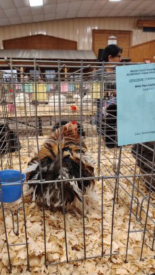 Grimes County Fairgrounds — photo 3 of 4