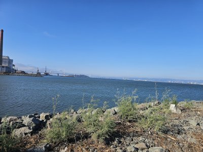 Pier 80 — photo 3 of 4