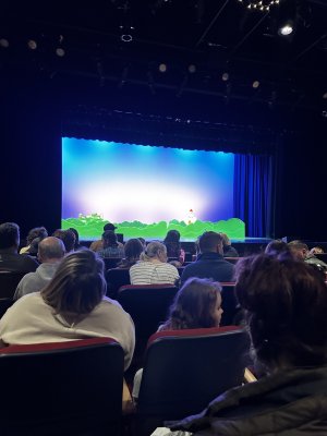 The Center For The Arts — photo 4 of 4