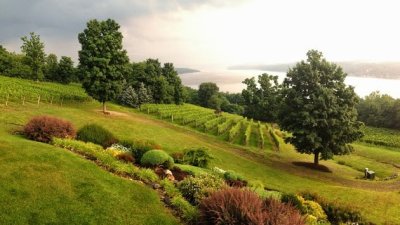 Point of the Bluff Vineyards — photo 1 of 4
