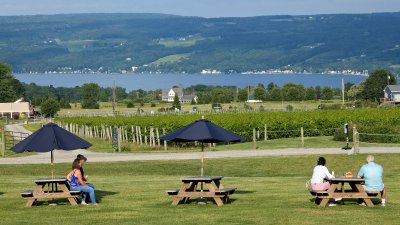 Point of the Bluff Vineyards — photo 3 of 4