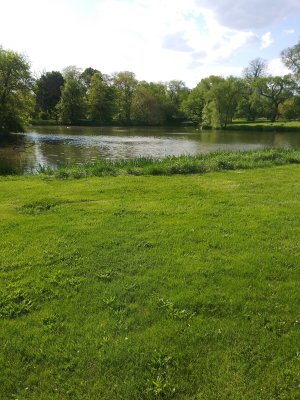Douglass Park — photo 1 of 4
