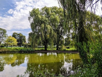Douglass Park — photo 4 of 4