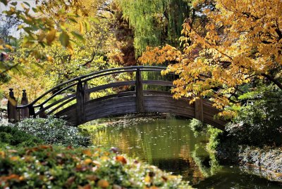 Fort Worth Botanic Garden — photo 2 of 4