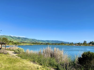 Lake Cunningham Regional Park — photo 4 of 4