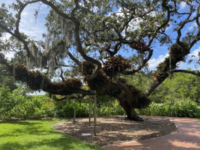 Marie Selby Botanical Gardens — photo 2 of 4