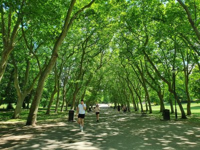 Crystal Palace Park