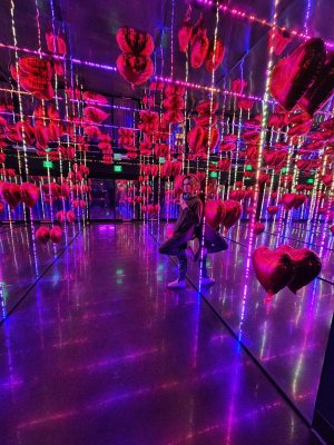 XSO Night Club — photo 3 of 4