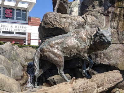 Carter Finley Stadium — photo 4 of 4
