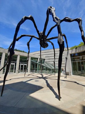 Crystal Bridges Museum of American Art — photo 2 of 4