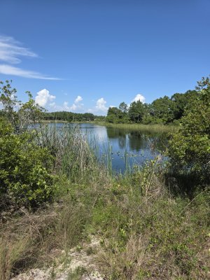 Aaron Bessant Park — photo 4 of 4