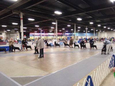 The Big E Arena At Eastern States Exposition — photo 2 of 4
