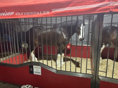 The Big E Arena At Eastern States Exposition — photo 4 of 4