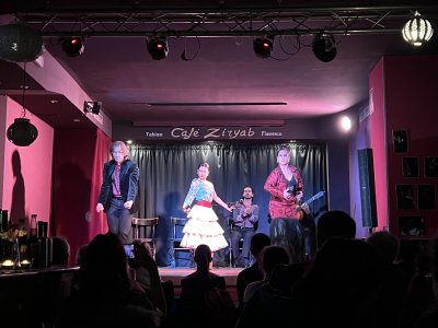 Tablao Flamenco Cafe Ziryab — photo 3 of 4