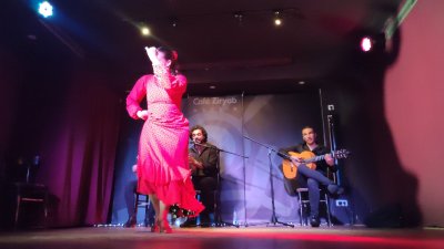 Tablao Flamenco Cafe Ziryab — photo 4 of 4