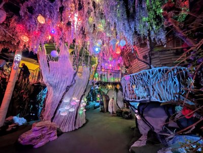 Meow Wolf