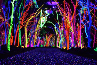 Meow Wolf — photo 2 of 4
